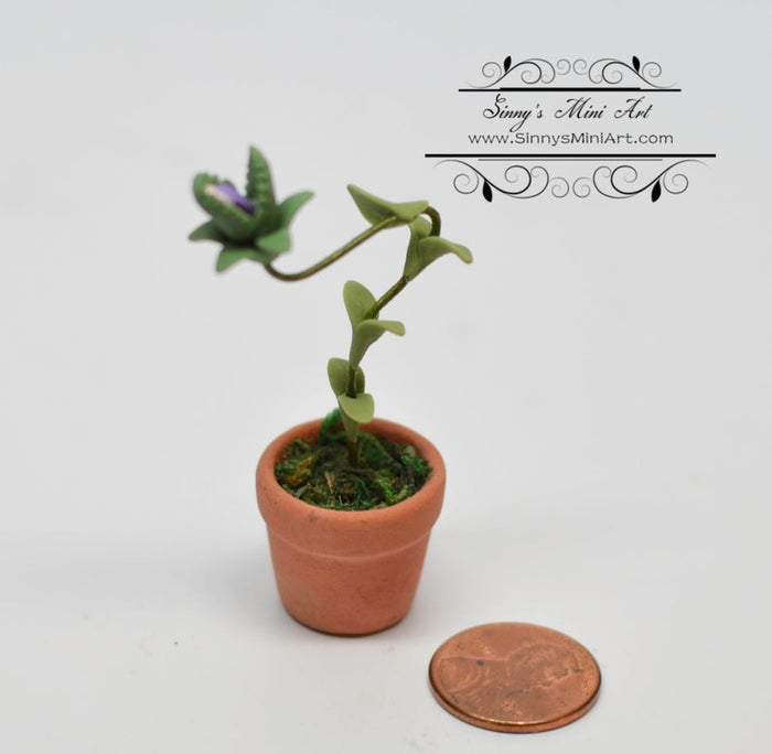 1:12 Dollhouse Miniature Man Eating Plant BD H024