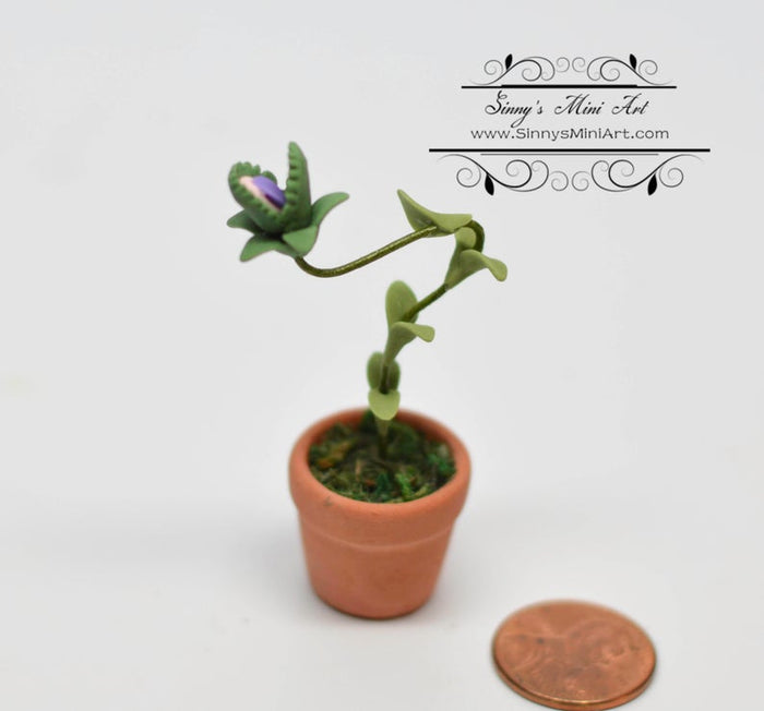 1:12 Dollhouse Miniature Man Eating Plant BD H024