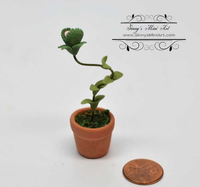 1:12 Dollhouse Miniature Man Eating Plant BD H024