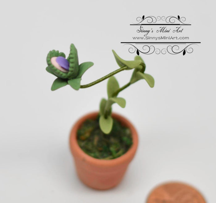 1:12 Dollhouse Miniature Man Eating Plant BD H024