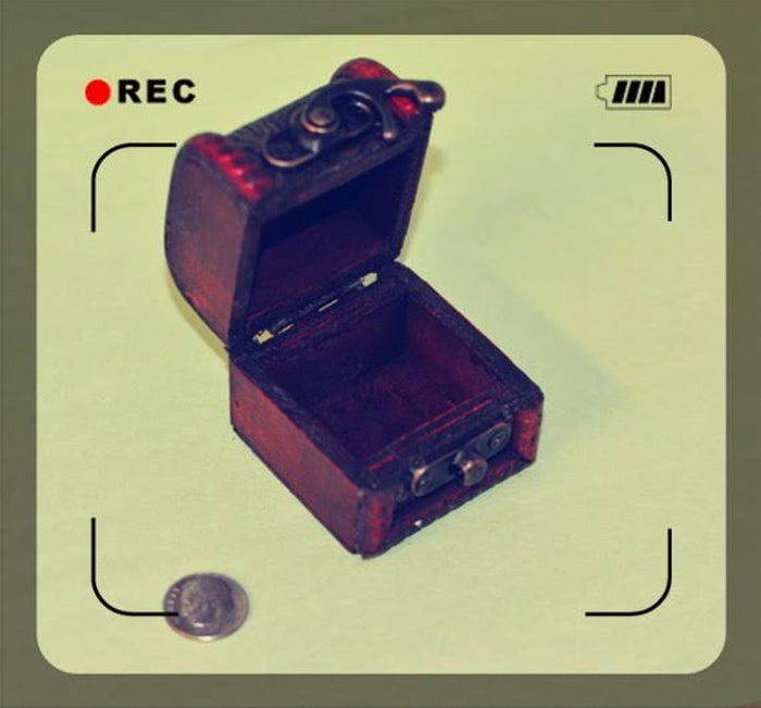 1:12 Dollhouse Miniature Trunk BD N044