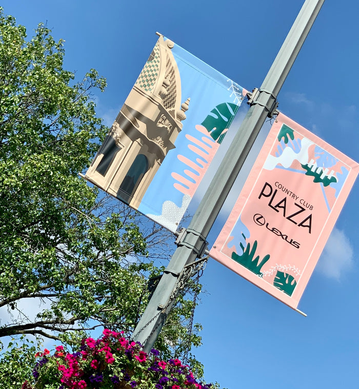 2020 Plaza Summer Banner - Haleigh Peterson - Blush/Blue Tower