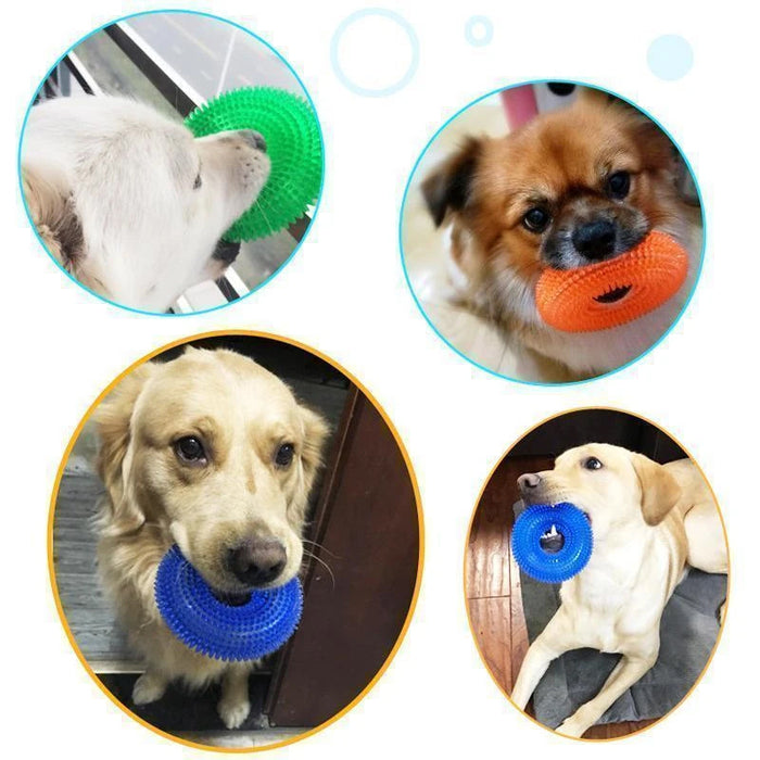 Balle Vocale Jouet pour Chien à Mordre ciaovie