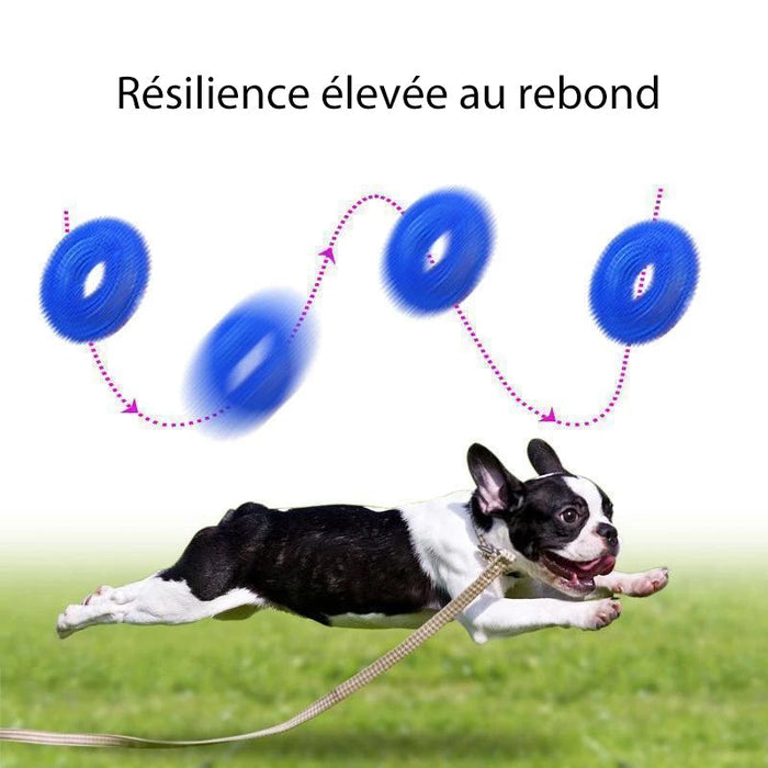 Balle Vocale Jouet pour Chien à Mordre ciaovie