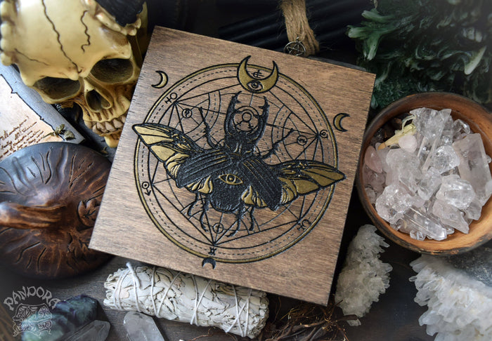 Box - "Magic Beetle"