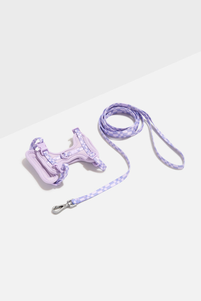 Lilac | Kitten Size