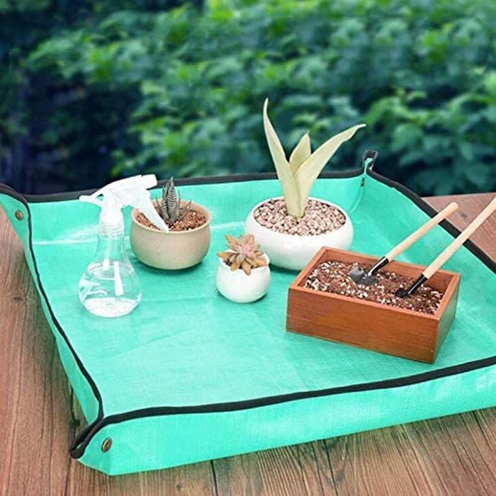Coussin de Repiquage de Pot de Jardinage ciaovie