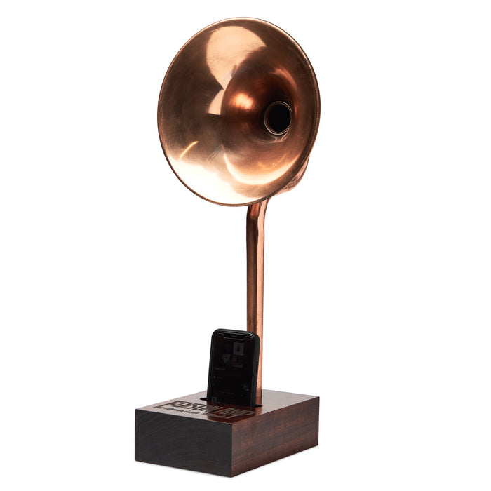 Edison Amp: The Ambassador