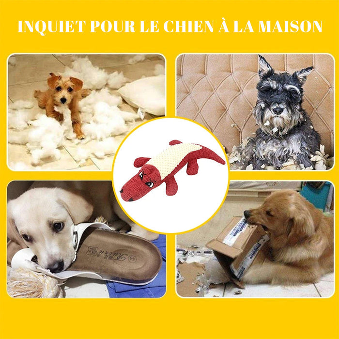 Jouet de Crocodile pour Animaux de Compagnie ciaovie