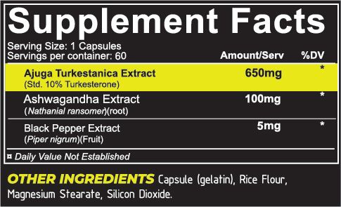 REPP Sports - TURKESTERONE+ - 60 Capsules