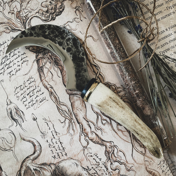 Small Boline - Deer Horn XVII