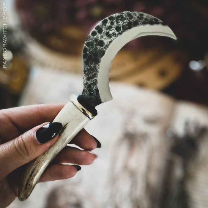 Small Boline - Deer Horn XVII