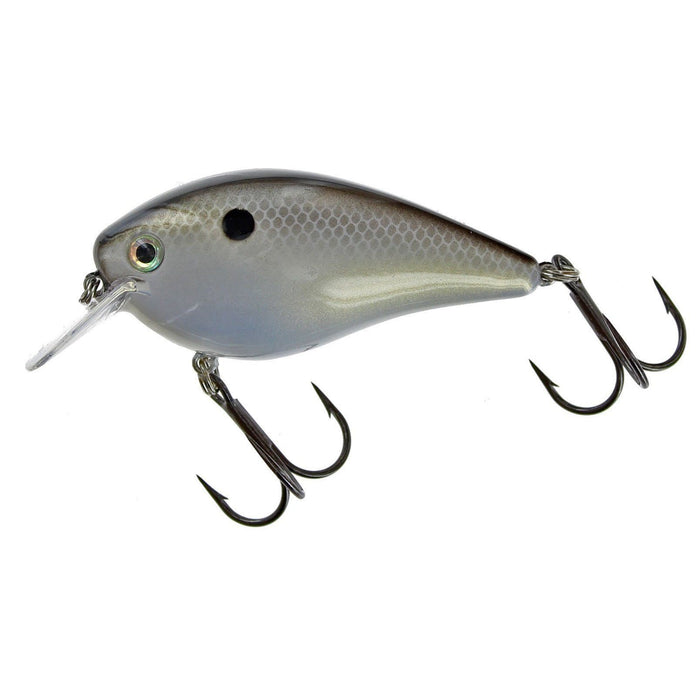 Gizzard Shad