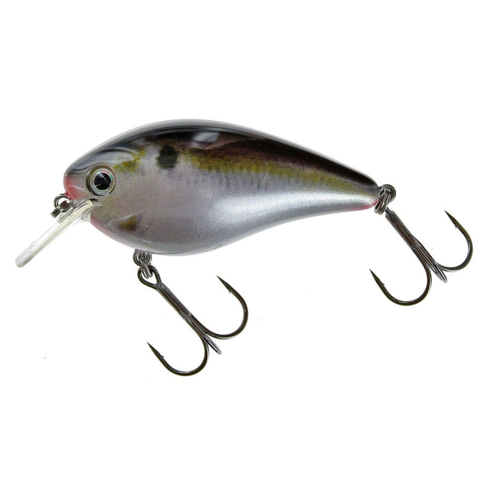 Natural Shad