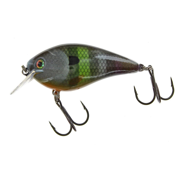 Neon Bluegill