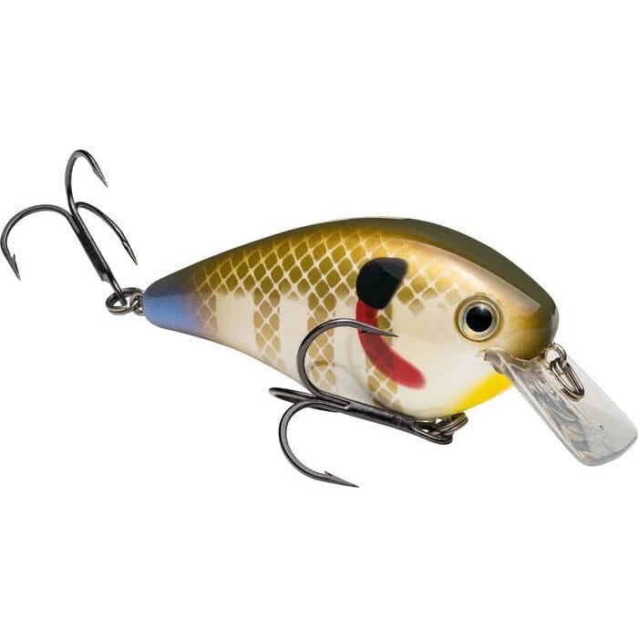 Sexy Sunfish