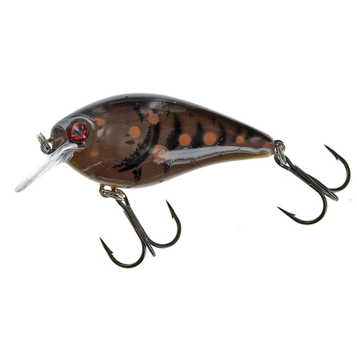 Strike King KVD Squarebill 2.5 Crankbait - Feathers & Antlers Outdoors