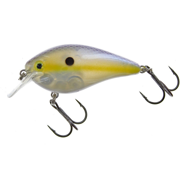 Chartreuse Shad