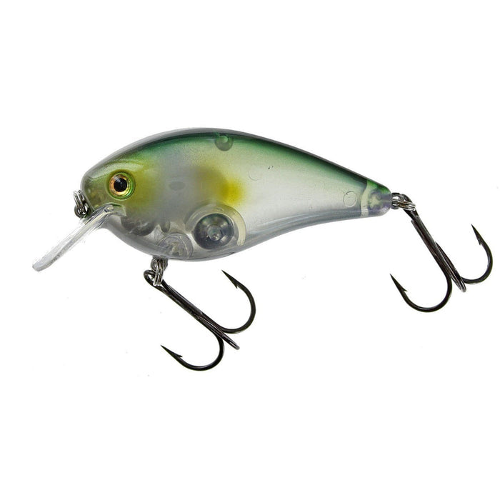 Clearwater Minnow