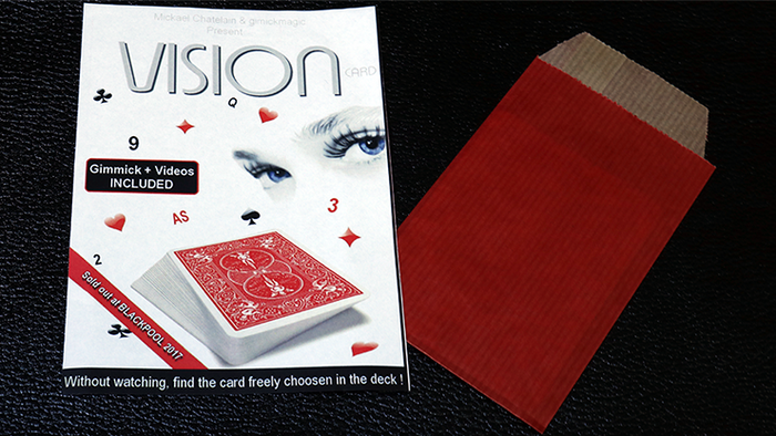VISION by Mickael Chatelain - Mystique Factory